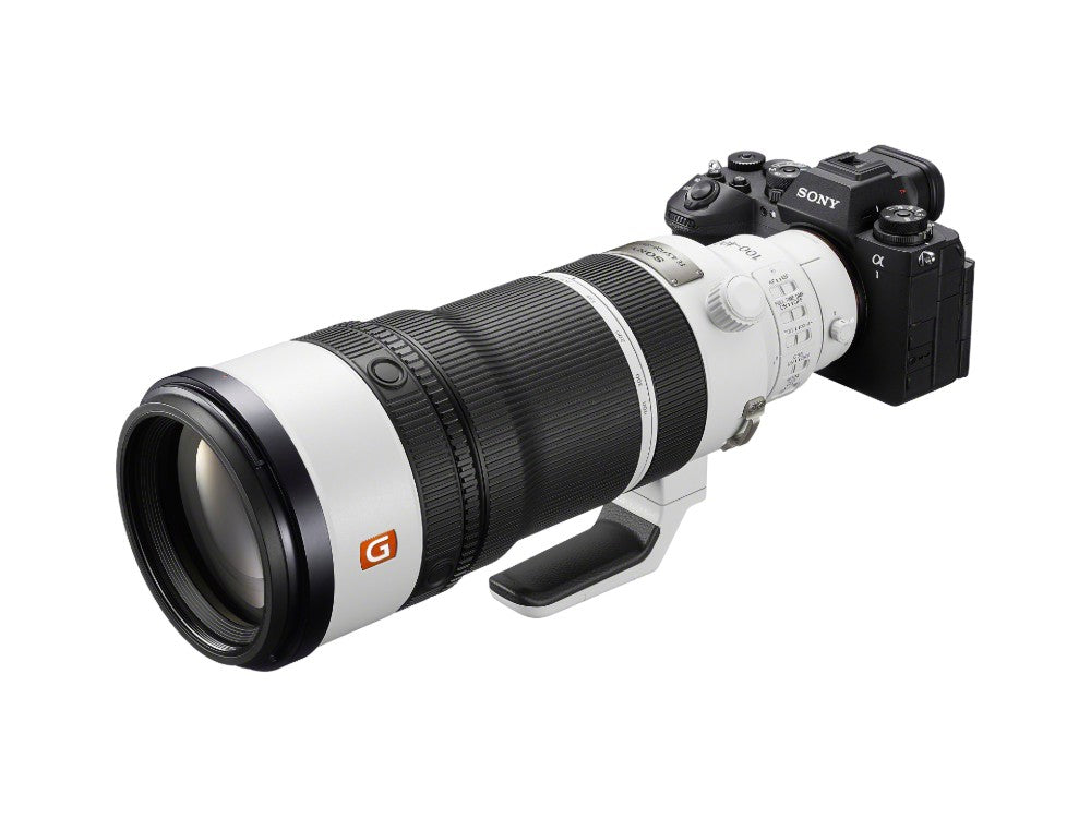 Sony FE 100-400mm f/4.5 GM + 2.0x Teleconverter