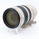 Canon EF 100-400mm f/4.5-5.6 L IS USM (schuifzoom) gebraucht