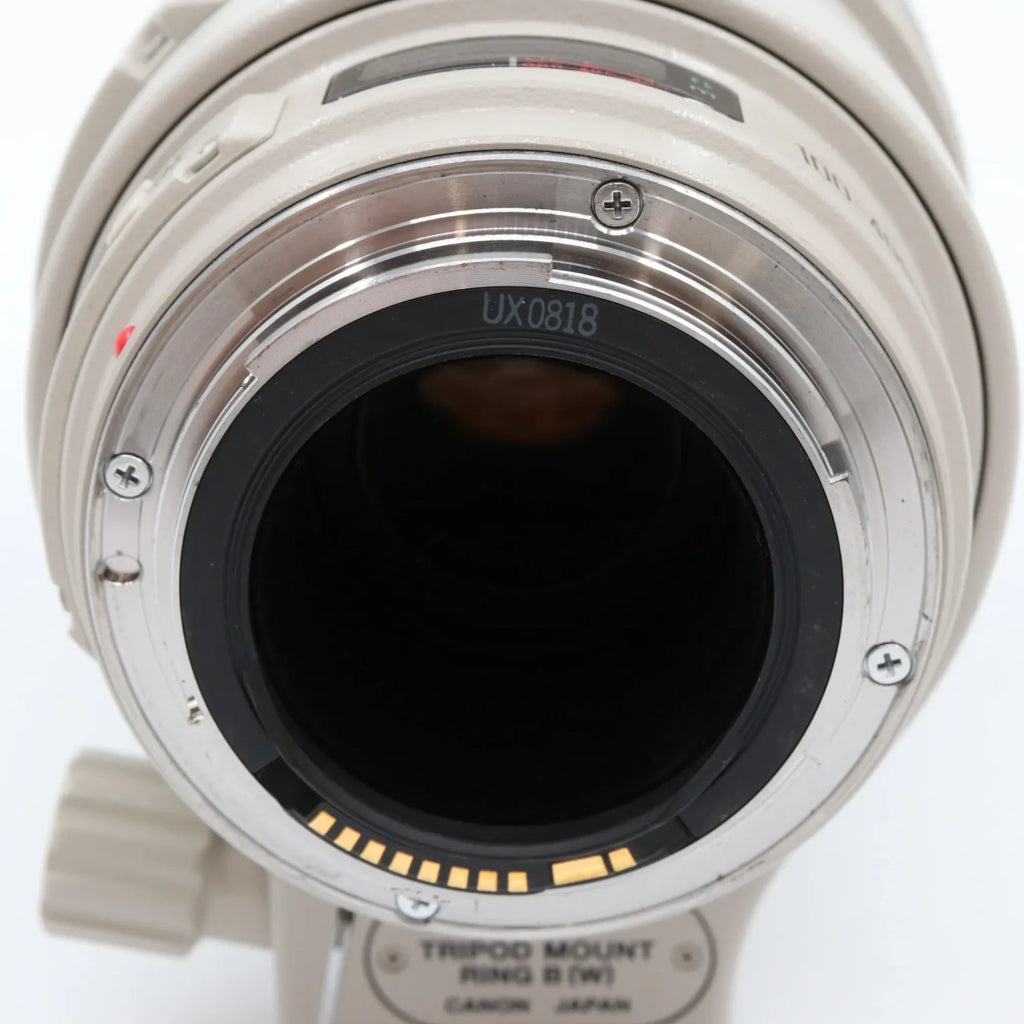 Canon EF 100-400mm f/4.5-5.6 L IS USM (schuifzoom) gebraucht