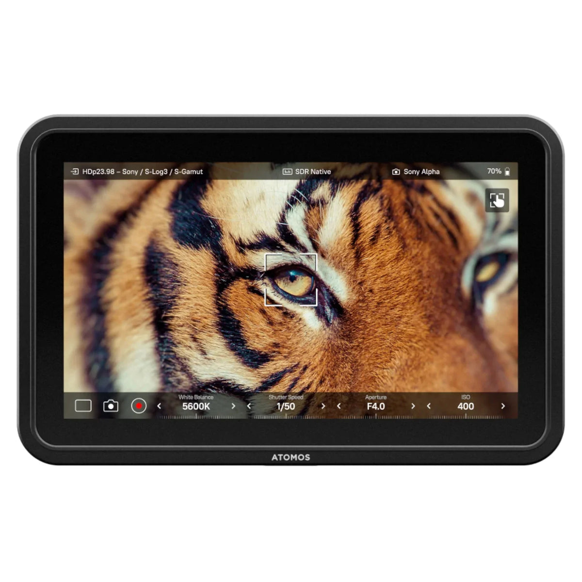 Atomos Shinobi 7 II