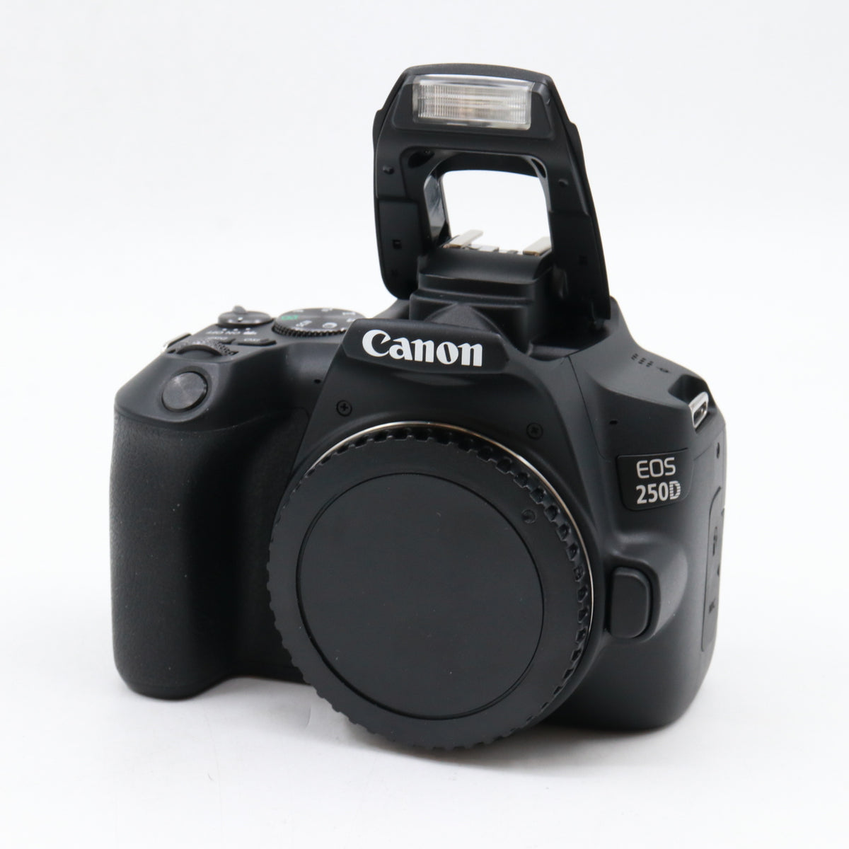 Canon EOS 250D Gehäuse gebraucht