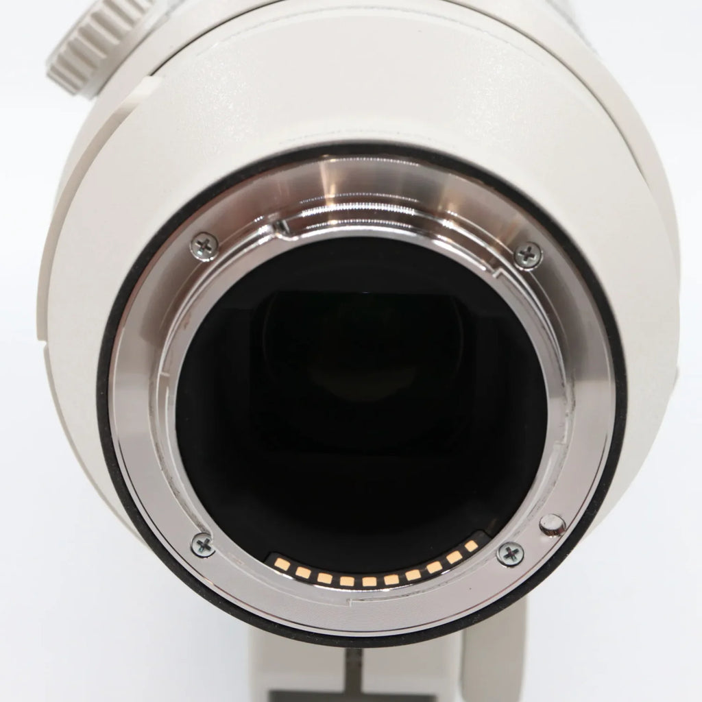 Sony FE 200-600mm f/5.6-6.3 G OSS gebraucht