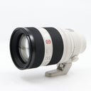 Sony FE 50-150mm F/2 GM gebraucht