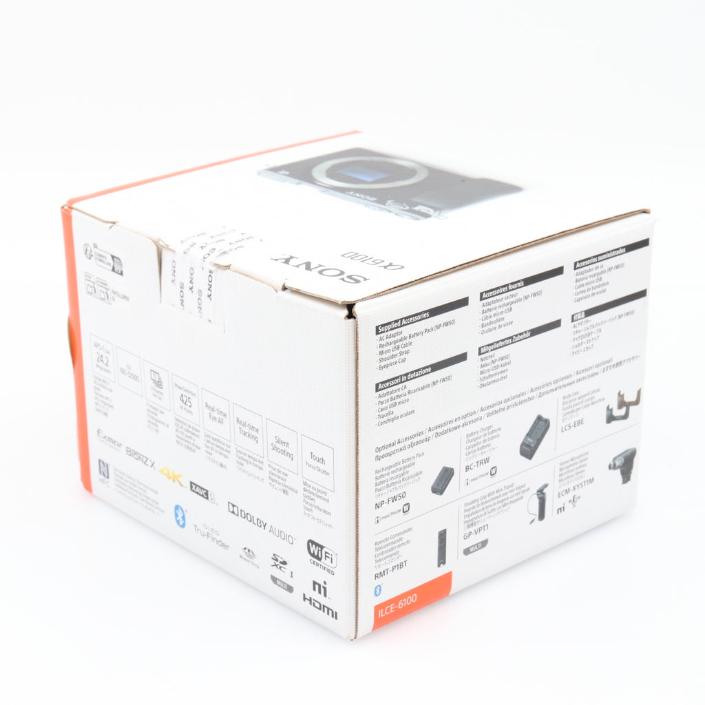 Sony A6100 body used