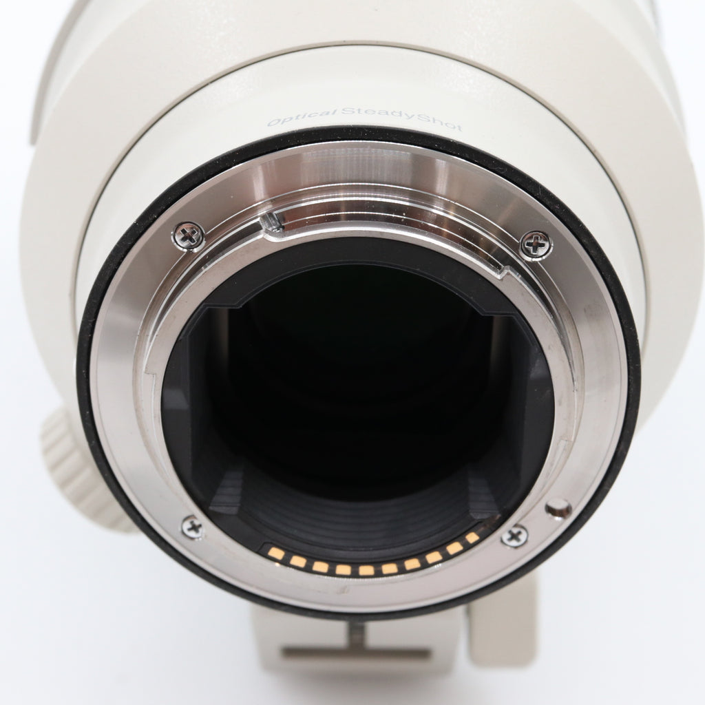 Sony FE 100-400mm f/4.5-5.6 GM OSS gebraucht