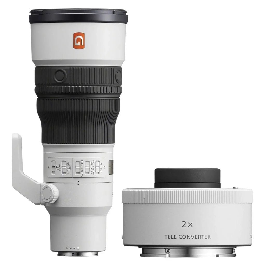 Sony FE 600mm f/6.3 GM OSS + 2.0 Teleconverter