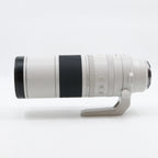 Canon RF 200-800mm F/6.3-9 IS USM used