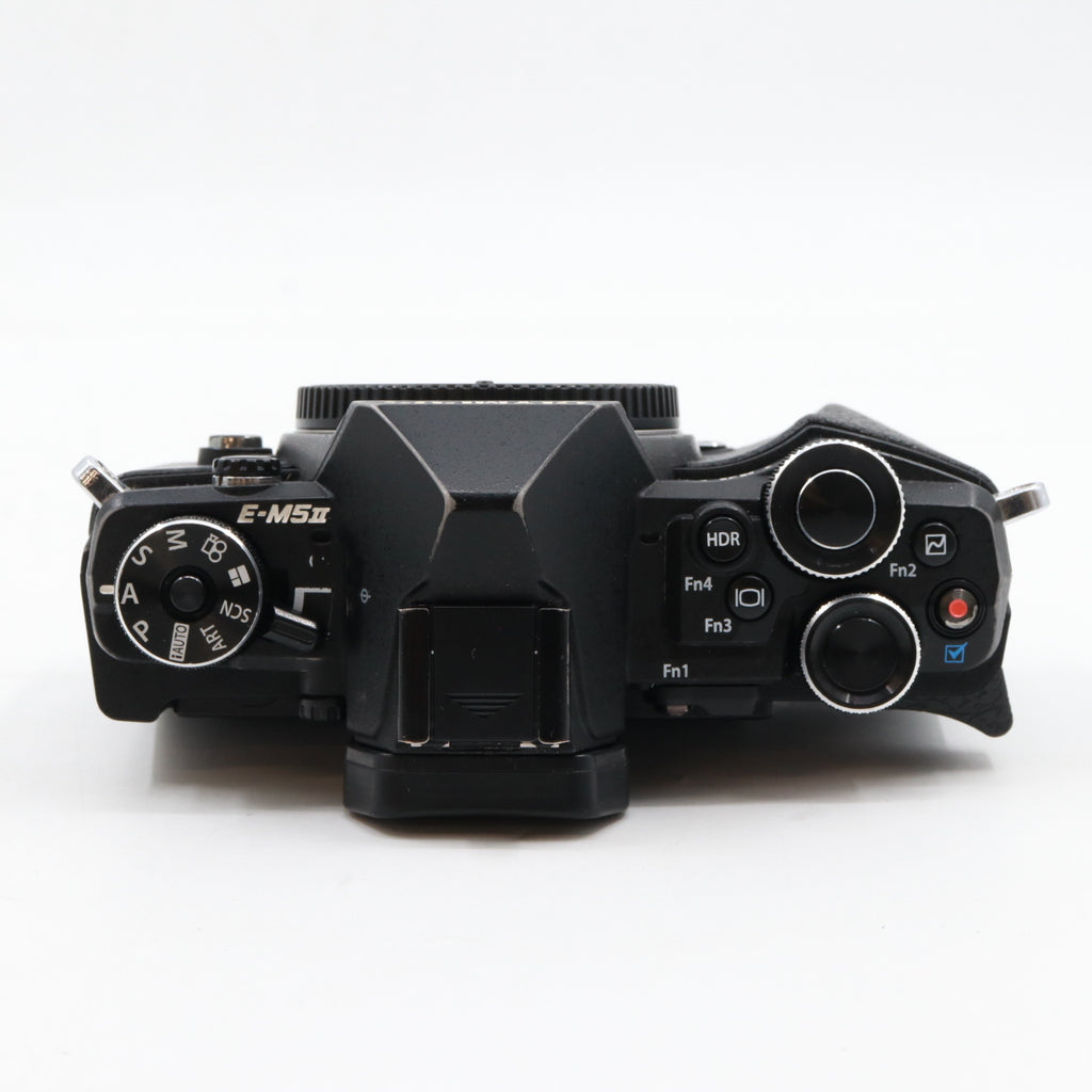 Olympus OM-D E-M5 Mark II body used
