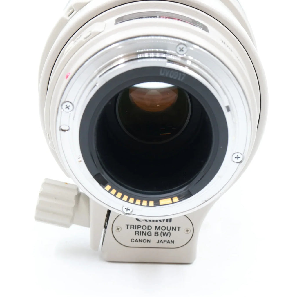Canon EF 100-400mm f/4.5-5.6 L IS USM gebraucht
