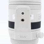 Canon RF 100-500mm f/4.5-7.1 L IS USM gebraucht