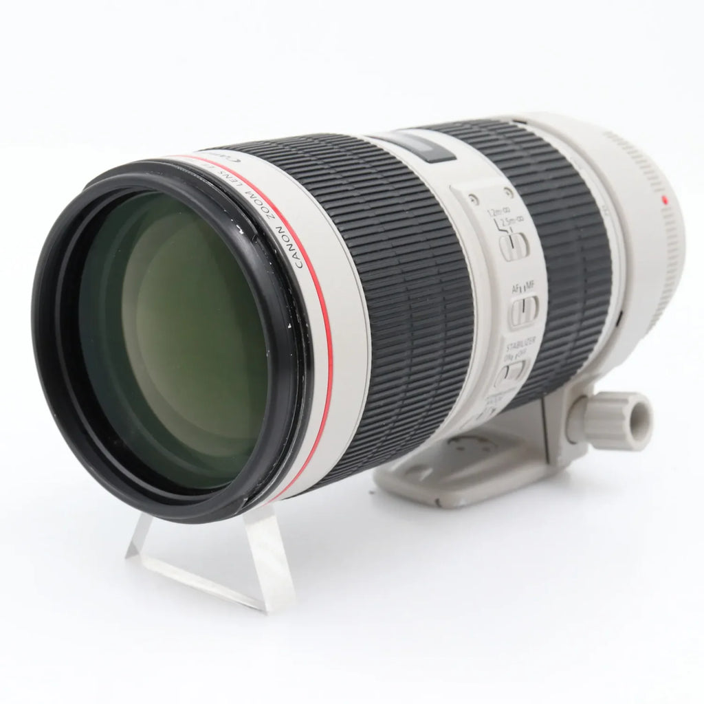 Canon EF 70-200mm f/2.8 L IS III USM used