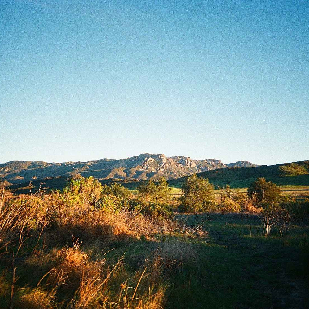 Kodak Ultra Max 400 - 135-36 (blister)
