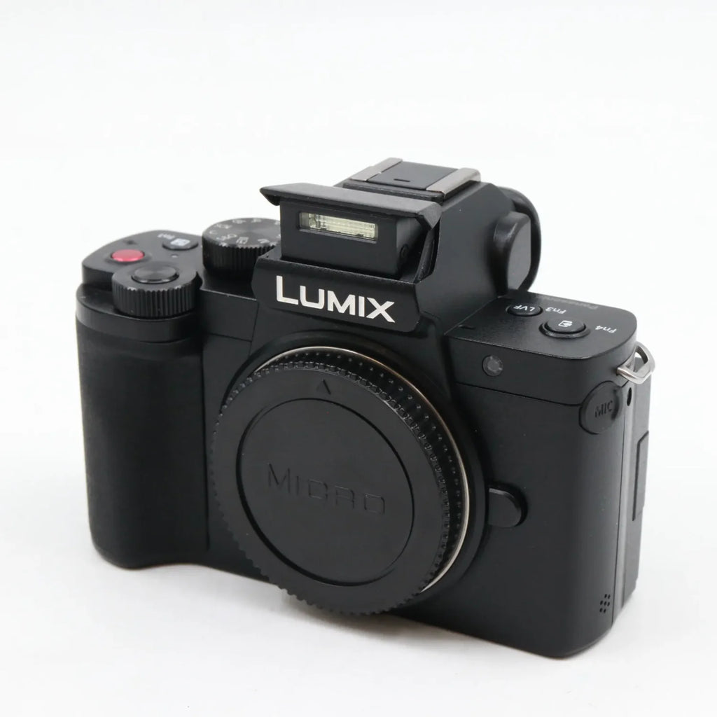 Panasonic Lumix DC-G100 body used