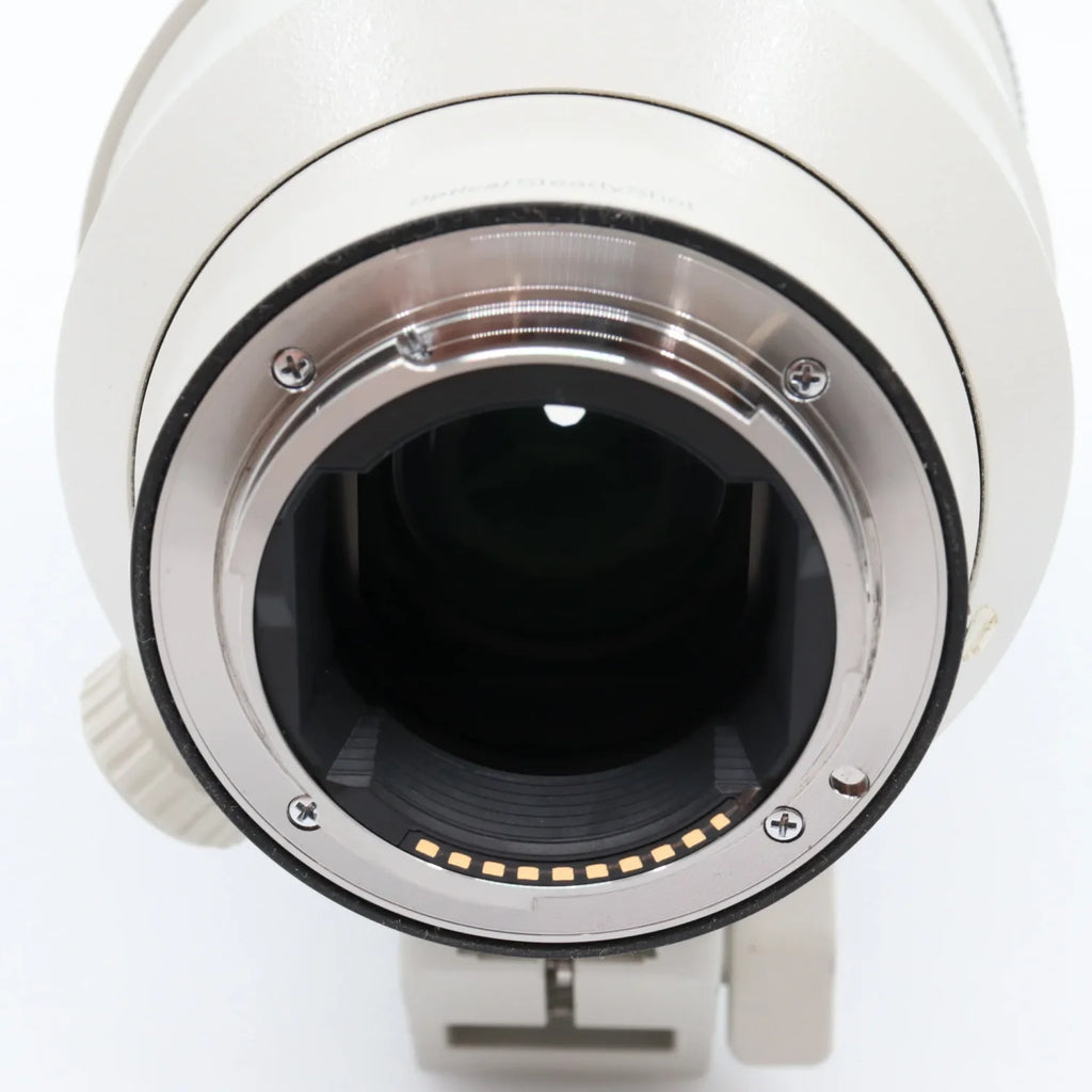 Sony FE 100-400mm f/4.5-5.6 GM OSS Gebraucht