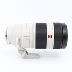Sony FE 100-400mm f/4.5-5.6 GM OSS Gebraucht