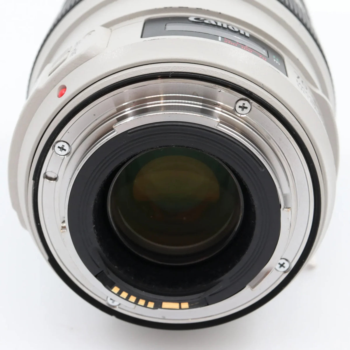 Canon EF 70-300mm f/4-5.6 L IS USM Gebraucht