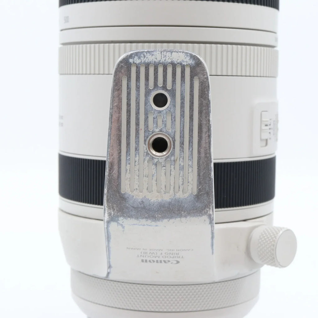 Canon RF 100-500mm F/4.5-7.1 L IS USM gebraucht