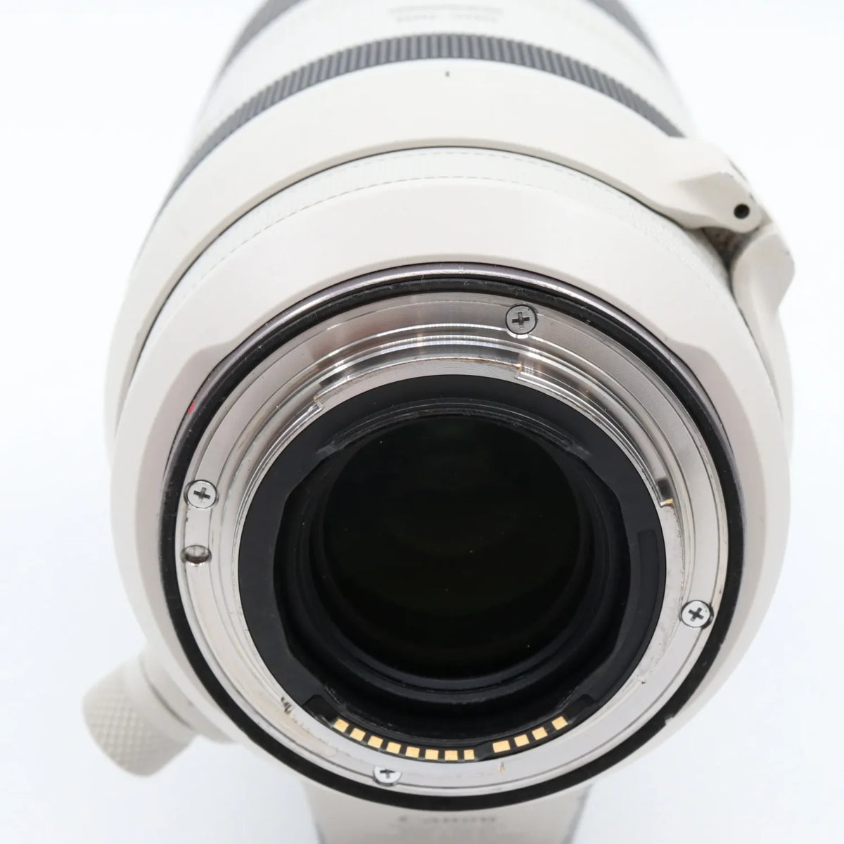 Canon RF 100-500mm F/4.5-7.1 L IS USM gebraucht