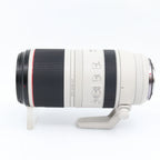 Canon RF 100-500mm F/4.5-7.1 L IS USM gebraucht