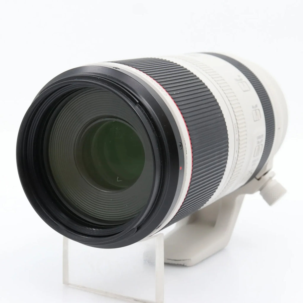 Canon RF 100-500mm F/4.5-7.1 L IS USM gebraucht