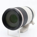 Canon RF 100-500mm F/4.5-7.1 L IS USM gebraucht