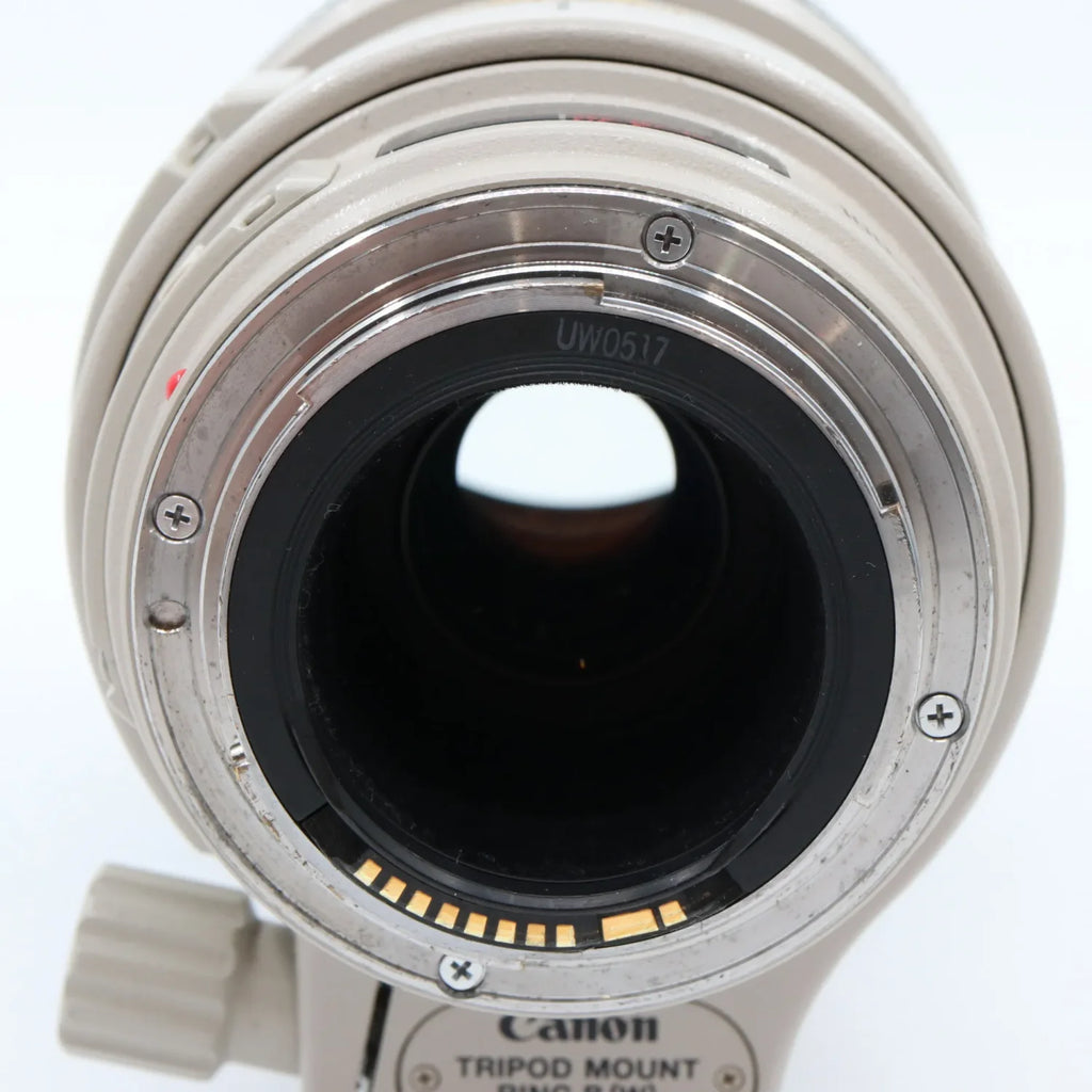 Canon EF 100-400mm f/4.5-5.6 L IS USM used