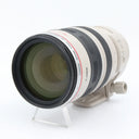 Canon EF 100-400mm f/4.5-5.6 L IS USM used