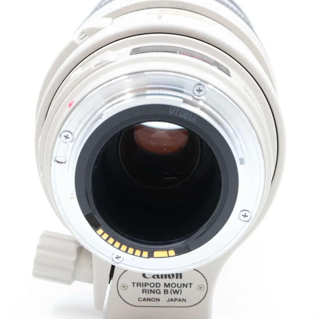Canon EF 100-400mm f/4.5-5.6 L IS USM used