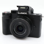 Panasonic Lumix DC-G100D + G Vario 12-32mm f/3.5-5.6 ASPH. Mega OIS gebraucht